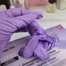 Vitril Gloves Purple 100